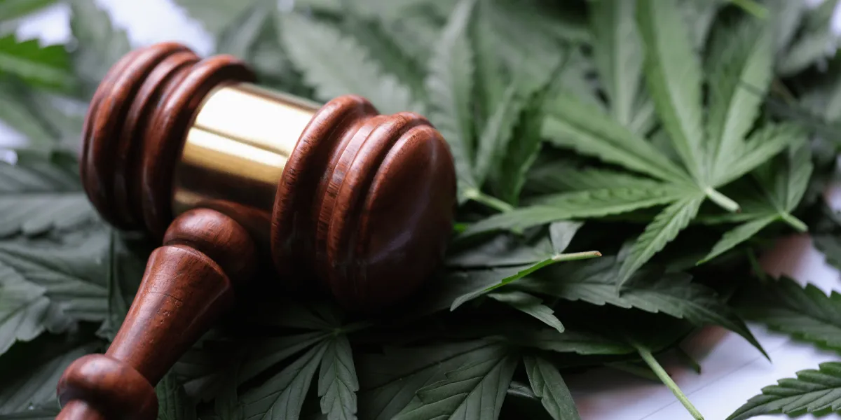 Ein Richterhammer liegt auf Cannabisblätter. © Adobe Stock, H_Ko